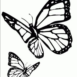 Meet your Posher, Carly